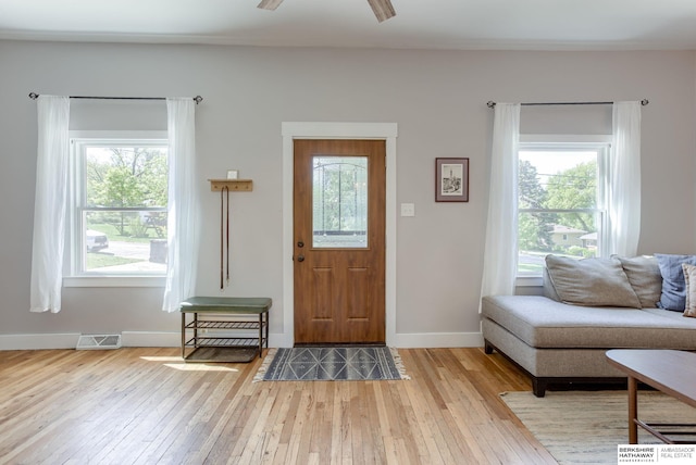 4332 Vinton St, Omaha, NE 68105 - entryway with light wood-type flooring, plenty of natural light, and baseboards