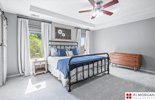5517 S 174th Ave, Omaha, NE 68135 - bedroom with a raised ceiling, carpet floors, baseboards, and a ceiling fan