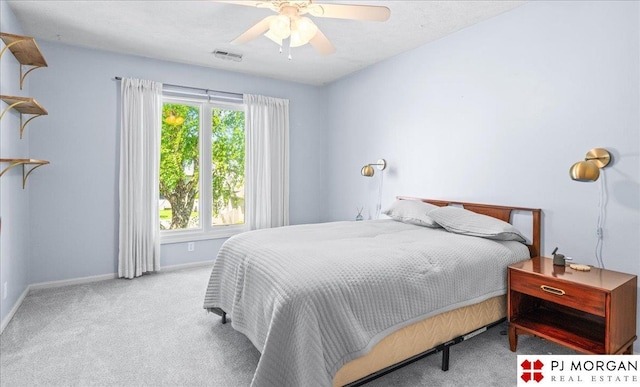5517 S 174th Ave, Omaha, NE 68135 - carpeted bedroom with multiple windows, baseboards, and a ceiling fan