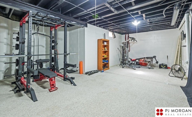 5517 S 174th Ave, Omaha, NE 68135 - exercise area featuring concrete block wall