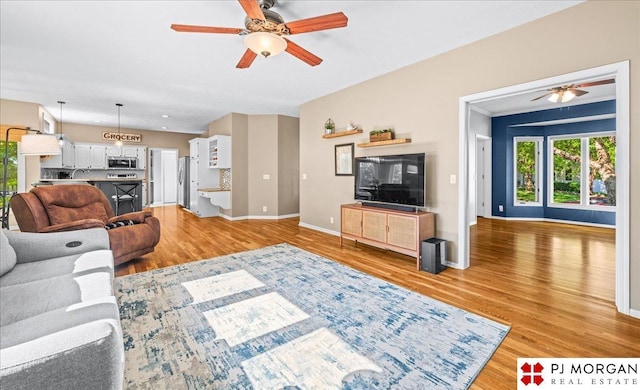 5517 S 174th Ave, Omaha, NE 68135 - living room with a ceiling fan, light wood-style floors, and baseboards