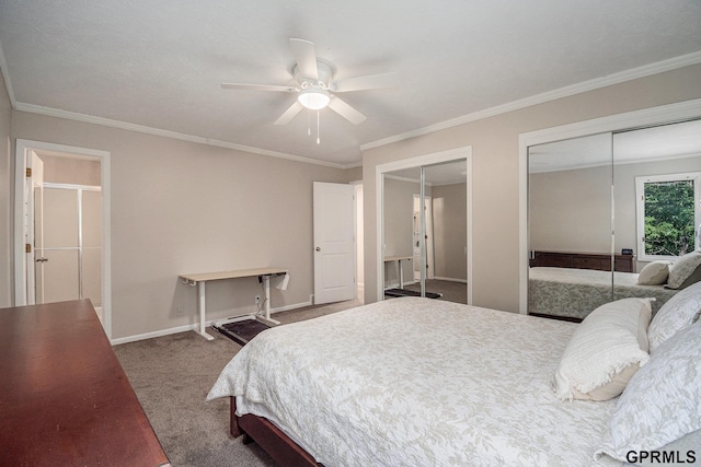 13055 Brookside Dr, Bellevue, NE 68123 - bedroom with multiple closets, carpet flooring, ornamental molding, baseboards, and a ceiling fan
