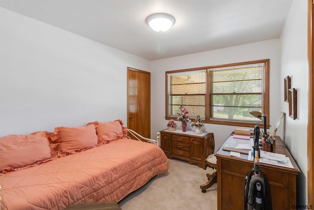 2206 N 56th St, Omaha, NE 68104 - bedroom featuring light colored carpet