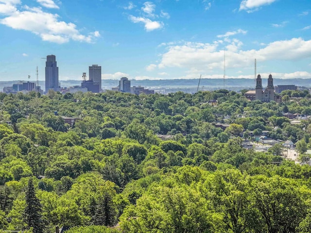 2206 N 56th St, Omaha, NE 68104 - view of urban area with a forest