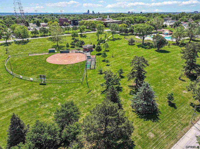 2206 N 56th St, Omaha, NE 68104 - aerial view of a tree filled landscape