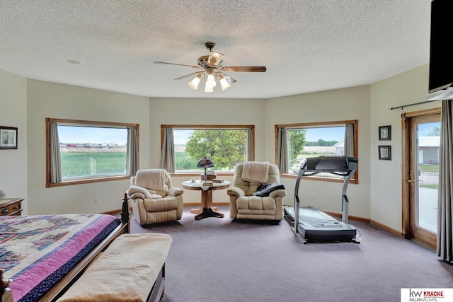 40798 US Highway 6, Cambridge, NE 69022 - carpeted bedroom featuring access to outside, multiple windows, a textured ceiling, ceiling fan, and baseboards