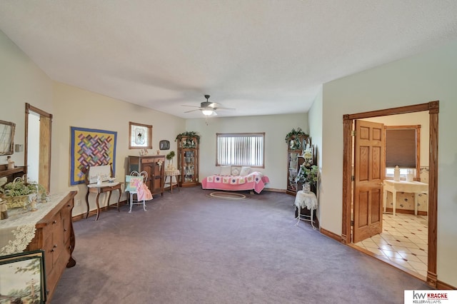 40798 US Highway 6, Cambridge, NE 69022 - sitting room with carpet, ceiling fan, and baseboards
