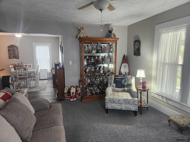 1211 D St, Fairbury, NE 68352 - carpeted living room featuring ceiling fan and a textured ceiling