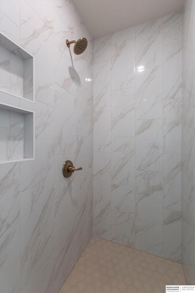 11019 N 166th St, Bennington, NE 68007 - bathroom featuring a tile shower