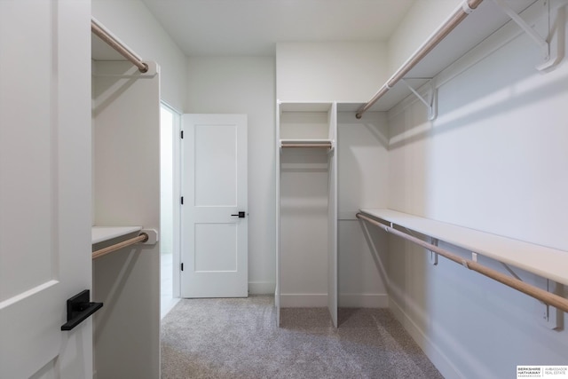11019 N 166th St, Bennington, NE 68007 - spacious closet featuring light carpet