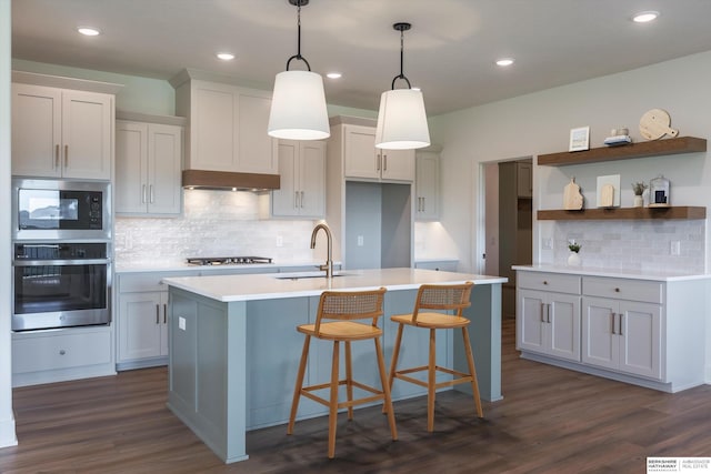 11019 N 166th St, Bennington, NE 68007 - kitchen with stainless steel appliances, a sink, tasteful backsplash, dark wood finished floors, and a center island with sink