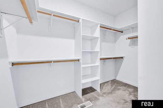 12003 S 109th St, Papillion, NE 68046 - spacious closet with carpet
