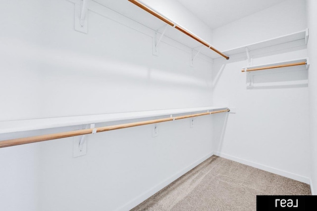 12003 S 109th St, Papillion, NE 68046 - spacious closet featuring light carpet