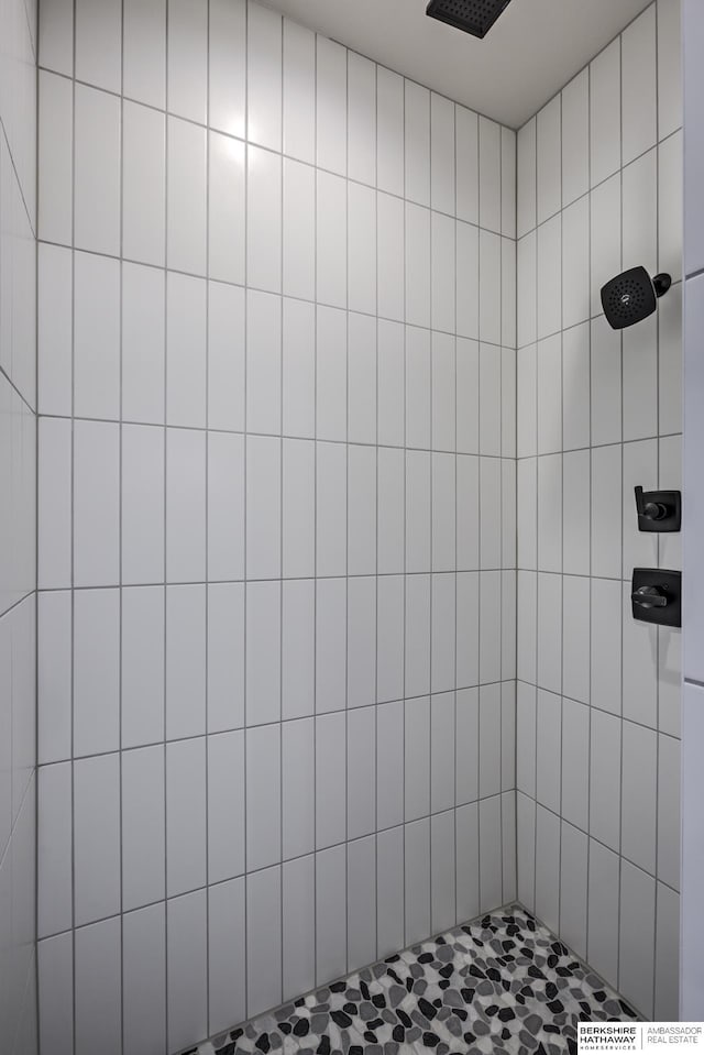 5717 S 200th Cir, Omaha, NE 68135 - full bathroom with tiled shower