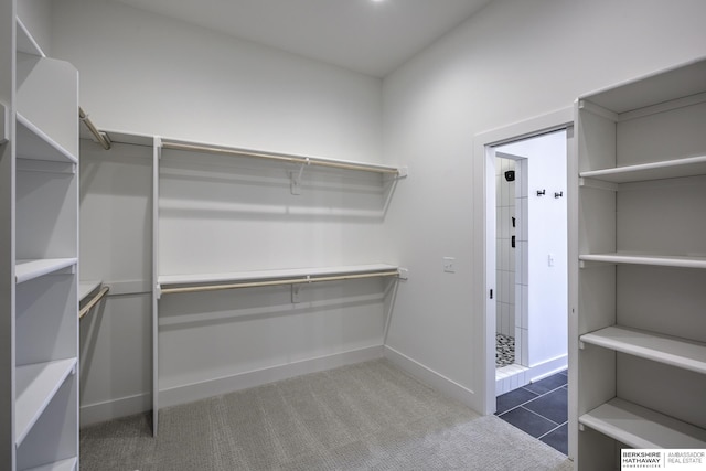 5717 S 200th Cir, Omaha, NE 68135 - spacious closet with carpet