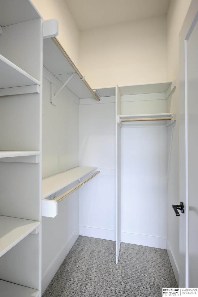 5717 S 200th Cir, Omaha, NE 68135 - spacious closet featuring carpet