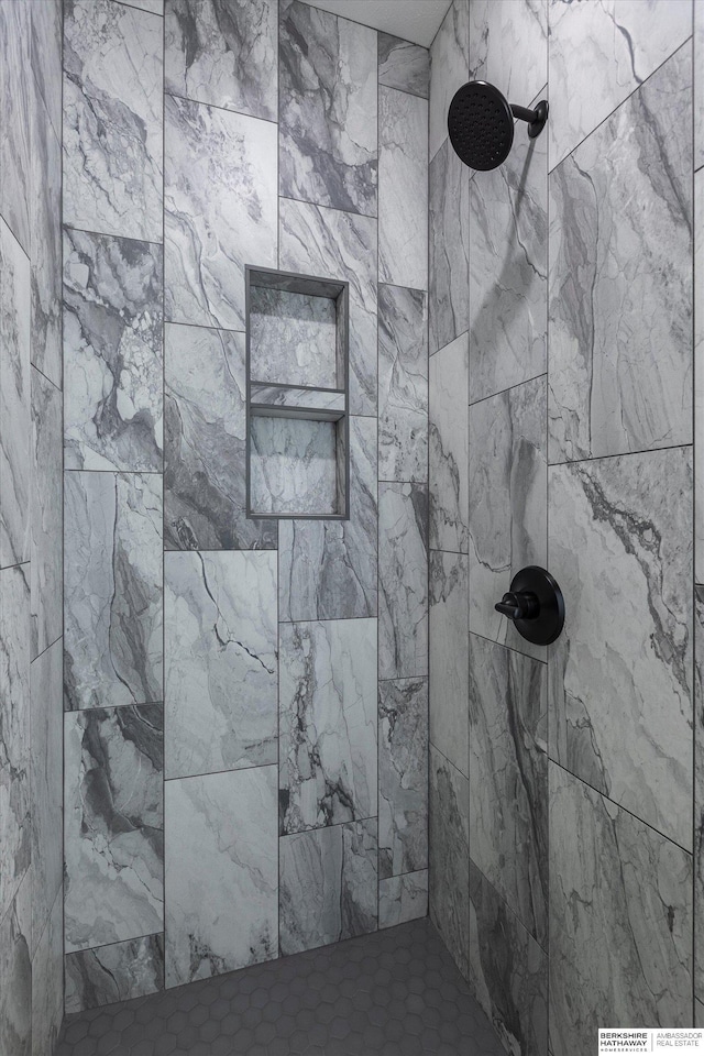 6617 S 214th St, Omaha, NE 68022 - full bathroom featuring a tile shower