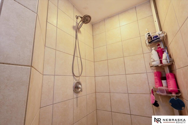 210 4th St, Ithaca, NE 68033 - bathroom view of tiled shower