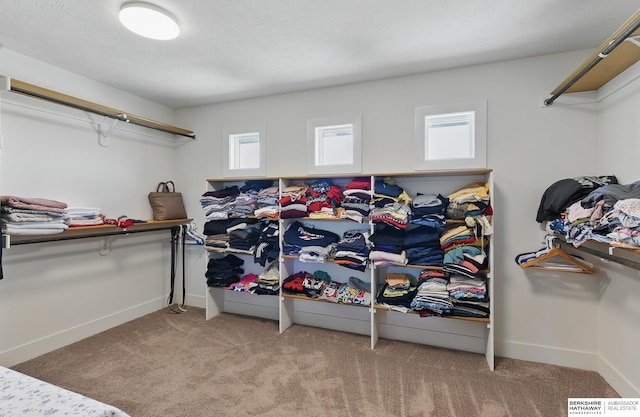 20956 Pine Cir, Elkhorn, NE 68022 - spacious closet featuring carpet flooring