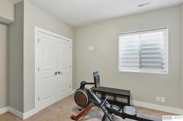 20956 Pine Cir, Elkhorn, NE 68022 - exercise room with carpet floors and baseboards