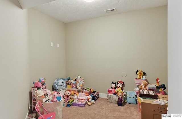 20956 Pine Cir, Elkhorn, NE 68022 - playroom with carpet flooring and a textured ceiling