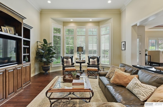 2025 S 189th Cir, Omaha, NE 68130 - living room featuring dark wood-style flooring, ornamental molding, recessed lighting, and baseboards