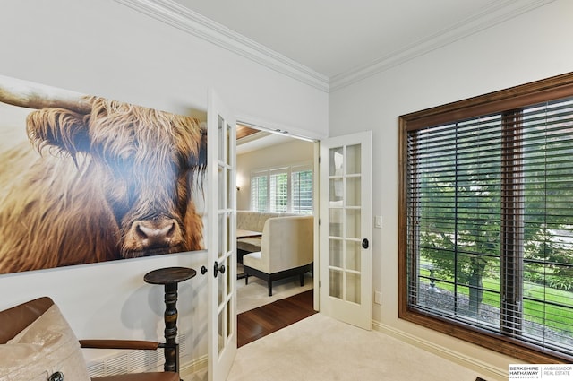 2025 S 189th Cir, Omaha, NE 68130 - carpeted office with french doors and ornamental molding
