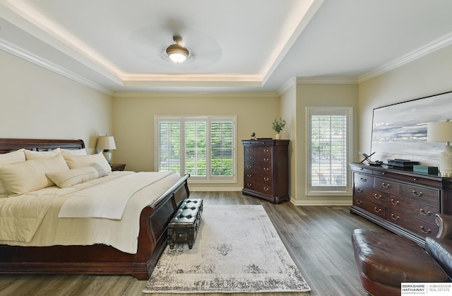 2025 S 189th Cir, Omaha, NE 68130 - bedroom with a raised ceiling, multiple windows, wood finished floors, ornamental molding, and baseboards