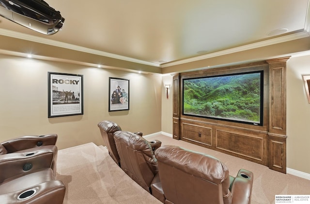 2025 S 189th Cir, Omaha, NE 68130 - home theater room with carpet, baseboards, and crown molding