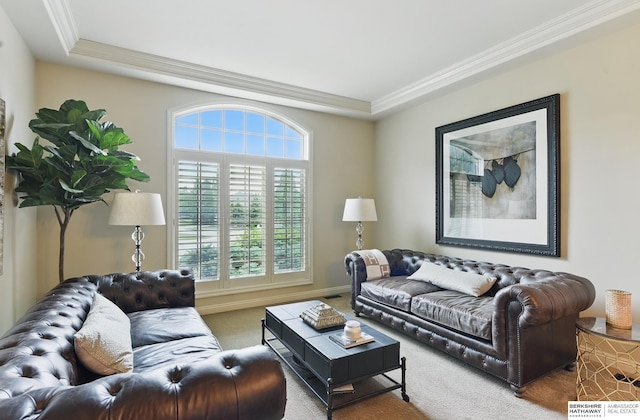 2025 S 189th Cir, Omaha, NE 68130 - living room with crown molding, carpet floors, a tray ceiling, and baseboards