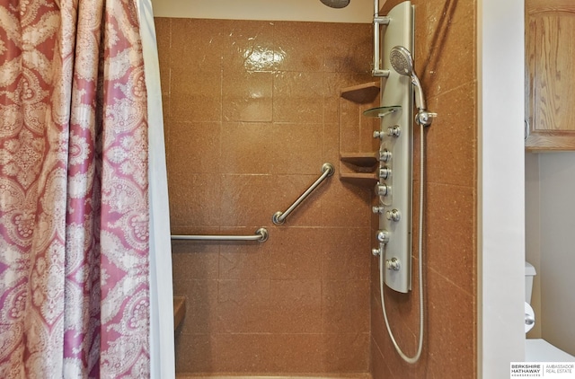 2417 Fairway Dr, Fremont, NE 68025 - bathroom featuring tiled shower and toilet