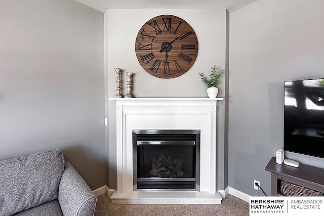 18914 C St, Omaha, NE 68130 - detailed view of baseboards, a glass covered fireplace, and carpet floors