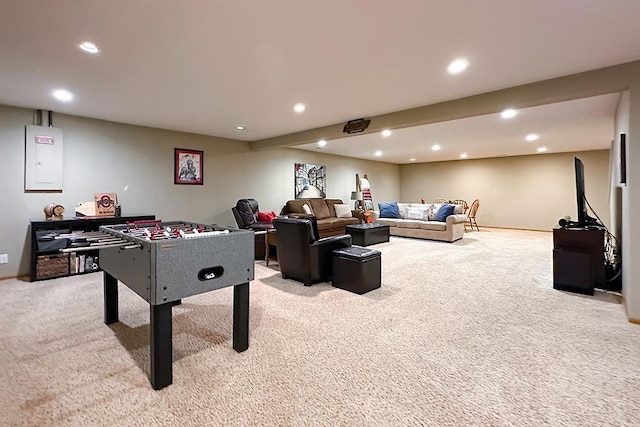 18914 C St, Omaha, NE 68130 - playroom with light colored carpet, recessed lighting, baseboards, and electric panel