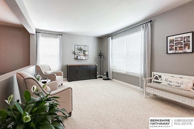 18914 C St, Omaha, NE 68130 - sitting room featuring carpet flooring, healthy amount of natural light, and baseboards