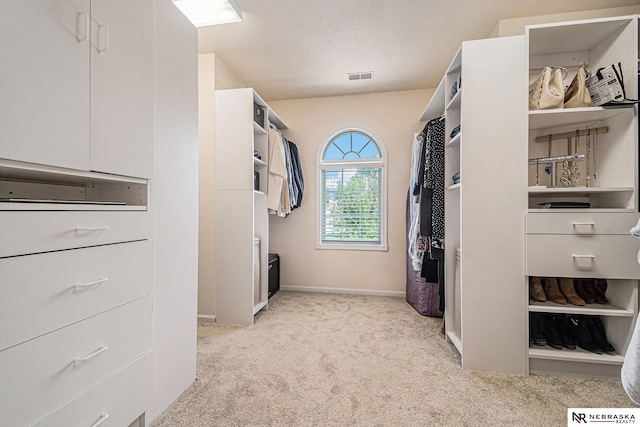 2221 S 181st Cir, Omaha, NE 68130 - spacious closet with light colored carpet