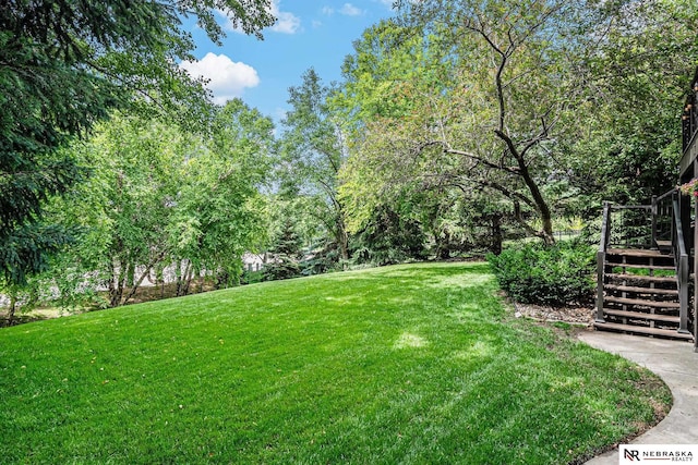2221 S 181st Cir, Omaha, NE 68130 - view of green lawn with stairs