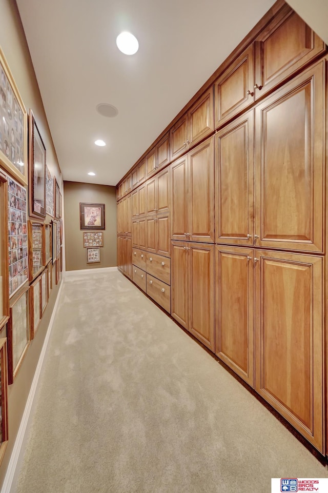 6602 Pheasant Run Pl, Lincoln, NE 68516 - corridor with carpet, baseboards, and recessed lighting