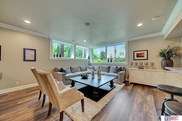 6602 Pheasant Run Pl, Lincoln, NE 68516 - living area with crown molding, recessed lighting, dark wood-style flooring, and baseboards