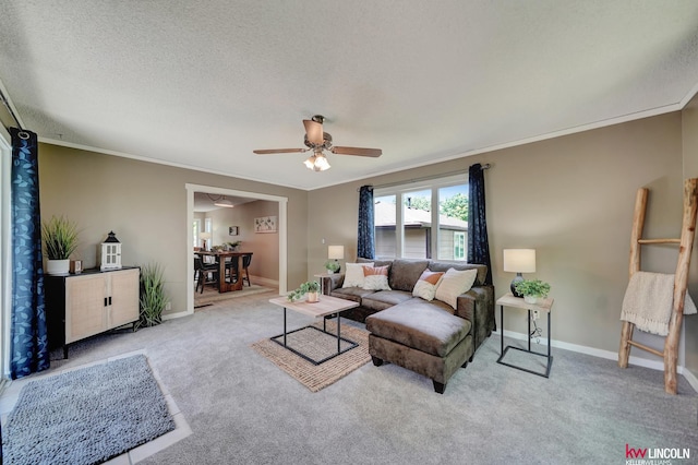 430 N 86th St, Lincoln, NE 68505 - living room with ceiling fan, carpet flooring, crown molding, baseboards, and a textured ceiling