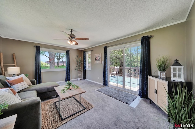 430 N 86th St, Lincoln, NE 68505 - living area with light colored carpet, healthy amount of natural light, ceiling fan, ornamental molding, and a textured ceiling