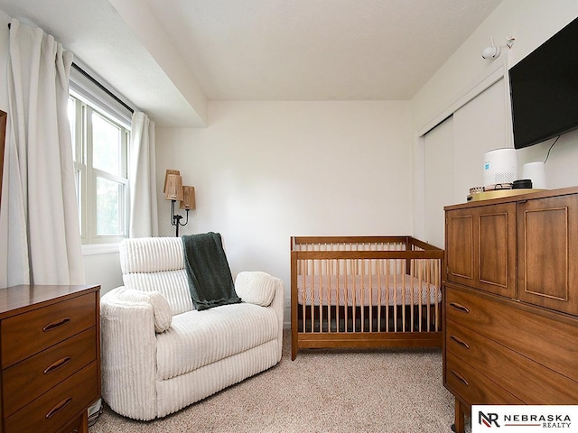 4219 Browning St, Lincoln, NE 68516 - bedroom with light colored carpet and a closet