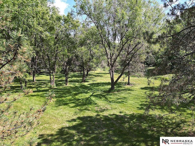 4219 Browning St, Lincoln, NE 68516 - view of green lawn