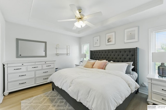 4019 N 147th St, Omaha, NE 68116 - bedroom featuring a tray ceiling, multiple windows, wood finished floors, and a ceiling fan