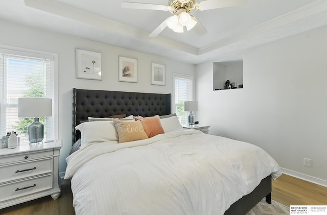 4019 N 147th St, Omaha, NE 68116 - bedroom featuring a tray ceiling, wood finished floors, multiple windows, baseboards, and crown molding