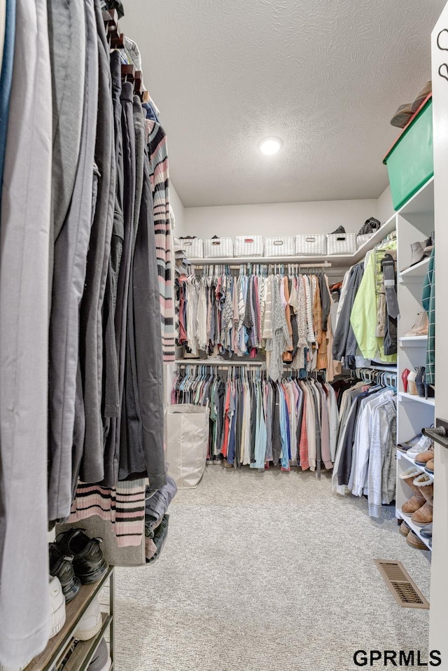 18403 Greenleaf St, Omaha, NE 68136 - spacious closet with carpet flooring