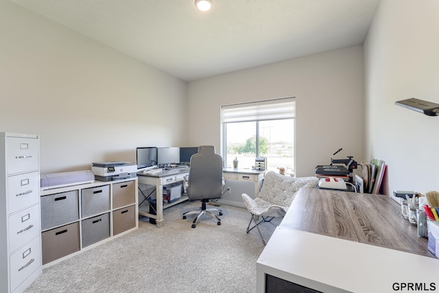 18403 Greenleaf St, Omaha, NE 68136 - office space featuring carpet flooring