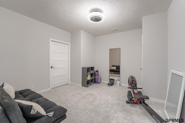 18403 Greenleaf St, Omaha, NE 68136 - exercise area with carpet floors, a textured ceiling, and baseboards
