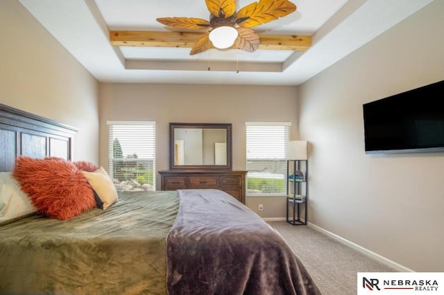 10425 S 110th St, Papillion, NE 68046 - carpeted bedroom with a raised ceiling, baseboards, and ceiling fan