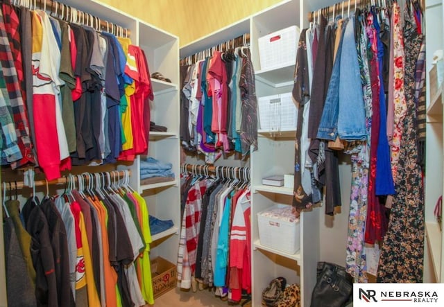10425 S 110th St, Papillion, NE 68046 - view of walk in closet