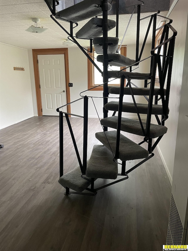 608 N 16th St, Nebraska City, NE 68410 - stairs featuring wood finished floors